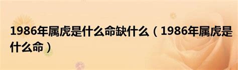 虎年1986|1986年属虎是什么命 1986年属虎的是什么命